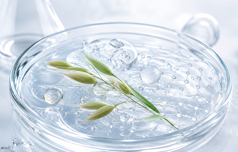 Beta-Glucan